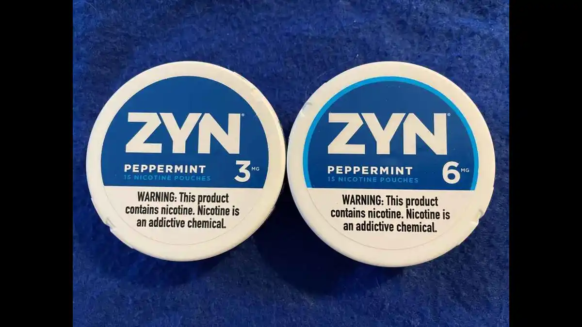 Zyn Rewards Unveiling a New Era in Loyalty Programs » NEWZ EASY