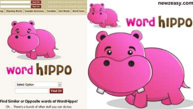 WordHippo 5 Letter Words